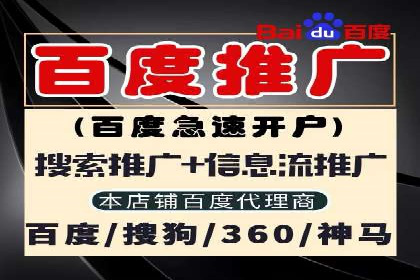 网络推广策略：竞价广告的实践案例